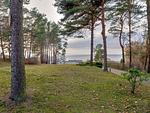 Landschaft - Haus Berlin, Wohnung 2 - Top-Hundeurlaub