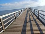 Strand - Villa Frieda, Whg. 04 - Top-Hundeurlaub