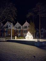 Blick auf Sehenswürdigkeit - Seeblick, Whg. 222 - Top-Hundeurlaub