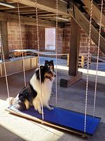 Ferienwohnung Rhönstreuner - Top-Hundeurlaub