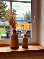 Reethaus M - Sommerhaus 54 - Top-Hundeurlaub