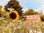 Reethaus M - Sommerhaus 54 - Top-Hundeurlaub
