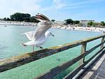 "Ankerplatz" im Haus 6 Nummer 13 - Top-Hundeurlaub