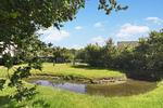 Landschaft - Ferienwohnung Gartenlounge Schönberg - Kalifornien - Top-Hundeurlaub