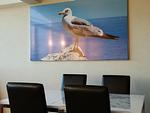 Ferienwohnung Möwe Schönberg - Top-Hundeurlaub