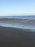 Chalet Zeeland-Haus mit Zaun Hausnr. B067 - Top-Hundeurlaub