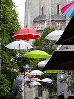 Freistehendes Ferienhaus mit Sauna und großem Garten - Top-Hundeurlaub