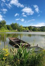 Ferienhaus Wildnis im Waidlerland am See - Top-Hundeurlaub