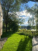 Ferienhaus Wildnis im Waidlerland am See - Top-Hundeurlaub