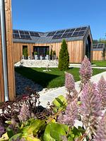 Ferienhaus Wildnis im Waidlerland am See - Top-Hundeurlaub