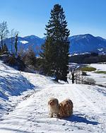 Großzügige Familienwohnung Ferientraum - Top-Hundeurlaub