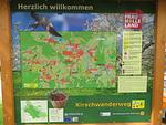 FeWo Oels Witzenhausen - Top-Hundeurlaub