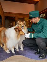 Alpin Resort Sacher - Top-Hundeurlaub