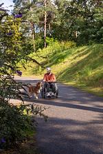 Barrierefreies Ferienhaus im EuroParcs De Zanding - Top-Hundeurlaub