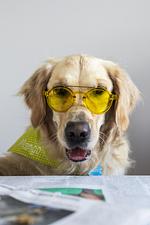 Urlaub mit Hund im Wanderhotel Vinschgerhof - Top-Hundeurlaub