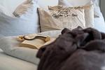 Haus "Panorama", Wohnung 7 - Top-Hundeurlaub