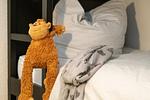 Hanseatic, Wohnung 2.16 - Top-Hundeurlaub