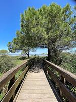 Camping Village Rosapineta Mobilehome Happy Plus - Top-Hundeurlaub