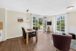 Wohnzimmer - Residenz am Balmer See, Whg. 47 - Top-Hundeurlaub