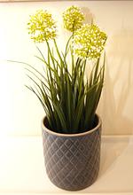 Friedrichs Stübchen *modern*Innenstadt*Stellplatz* - Top-Hundeurlaub