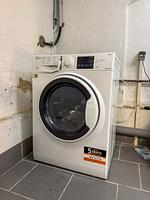 Dekoratives Detail - MonteurWohnung Sporbitzer Stübchen Dresden - Top-Hundeurlaub