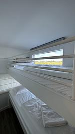 Homeboat  - Top-Hundeurlaub