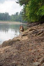 relexa Waldhotel Schatten - Top-Hundeurlaub