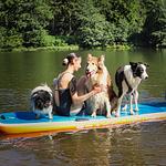 Brangs Hundeparadies Eifel- direkt online buchen möglich - Top-Hundeurlaub