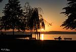 Ferienwohnung Sylvia & Oliver Schön-Fellnasenurlaub Bodensee - Top-Hundeurlaub