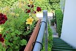Ferienwohnung Sylvia & Oliver Schön-Fellnasenurlaub Bodensee - Top-Hundeurlaub