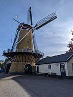 N129n Top Hundeurlaub im Ferienhaus Sheltiehome mit eingezäunten Garten und fußläufig zum kilometerlangen Sandstrand - Top-Hundeurlaub