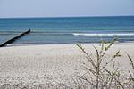 Bungalow Alex - Top-Hundeurlaub
