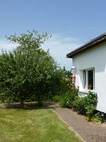 Bungalow Alex - Top-Hundeurlaub