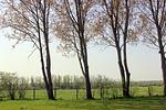 Fewo Sommersprosse - Top-Hundeurlaub