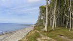 Fewo Sommersprosse - Top-Hundeurlaub