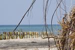Fewo Sommersprosse - Top-Hundeurlaub
