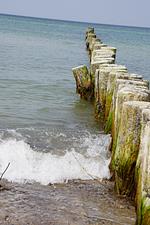 Fewo Kapitänswohnung - Top-Hundeurlaub