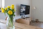 Wohnzimmer - Apartment Feenja 02 - Top-Hundeurlaub
