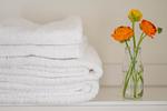 Dekoratives Detail - Apartment Feenja 02 - Top-Hundeurlaub