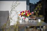 Hauptansicht - Apartment Feenja 02 - Top-Hundeurlaub