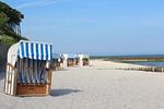 Fewo Ostsee Elfe - Top-Hundeurlaub
