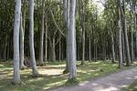 Fewo Sonnenschein - Top-Hundeurlaub