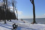 Fewo Sonnenschein - Top-Hundeurlaub