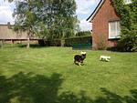 Hundeurlaub-Cuxland - Haus 1 - Top-Hundeurlaub