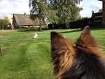 Hundeurlaub-Cuxland - Haus 1 - Top-Hundeurlaub
