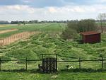 Hundeurlaub-Cuxland - Haus 1 - Top-Hundeurlaub