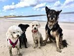 Hundeurlaub-Cuxland - Haus 1 - Top-Hundeurlaub