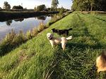 Hundeurlaub-Cuxland - Haus 1 - Top-Hundeurlaub