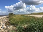 Hundeurlaub-Cuxland - Haus 1 - Top-Hundeurlaub