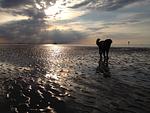 Hundeurlaub-Cuxland - Haus 1 - Top-Hundeurlaub
